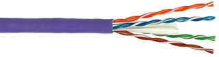 Purple Ethernet Cable for first level backbone cable