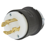 HBL2721ST - LKG Plug, 30A 3P 250V, L15-30P, ST - Wiring Device-Kellems