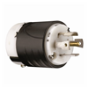 L2130P - Turnlok Plug 5W 30A 3PH 120/208V - Pass & Seymour/Legrand