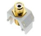 WP3461WH - White Rca to F-Connector WH (M20) - Legrand-On-Q